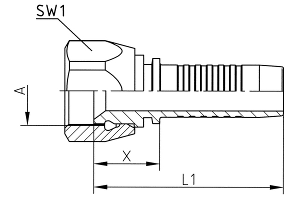 XV08JF05