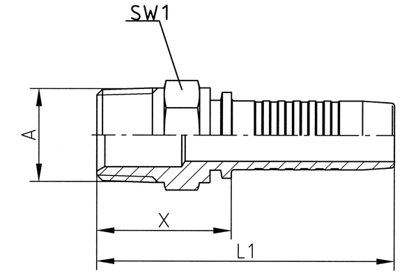 XV02BMT04